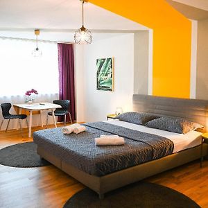 Appartement met een Slaapkamer